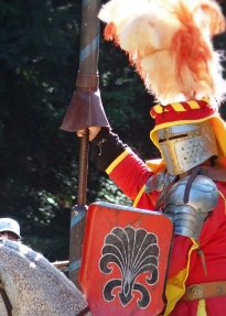 Berry Celtic Festival 2018